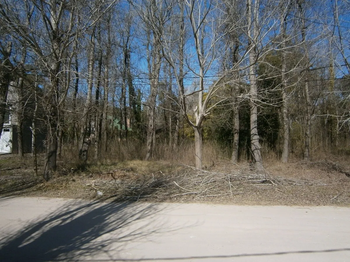 Paseo Del Bosque Manzana F1 Lote 19b
