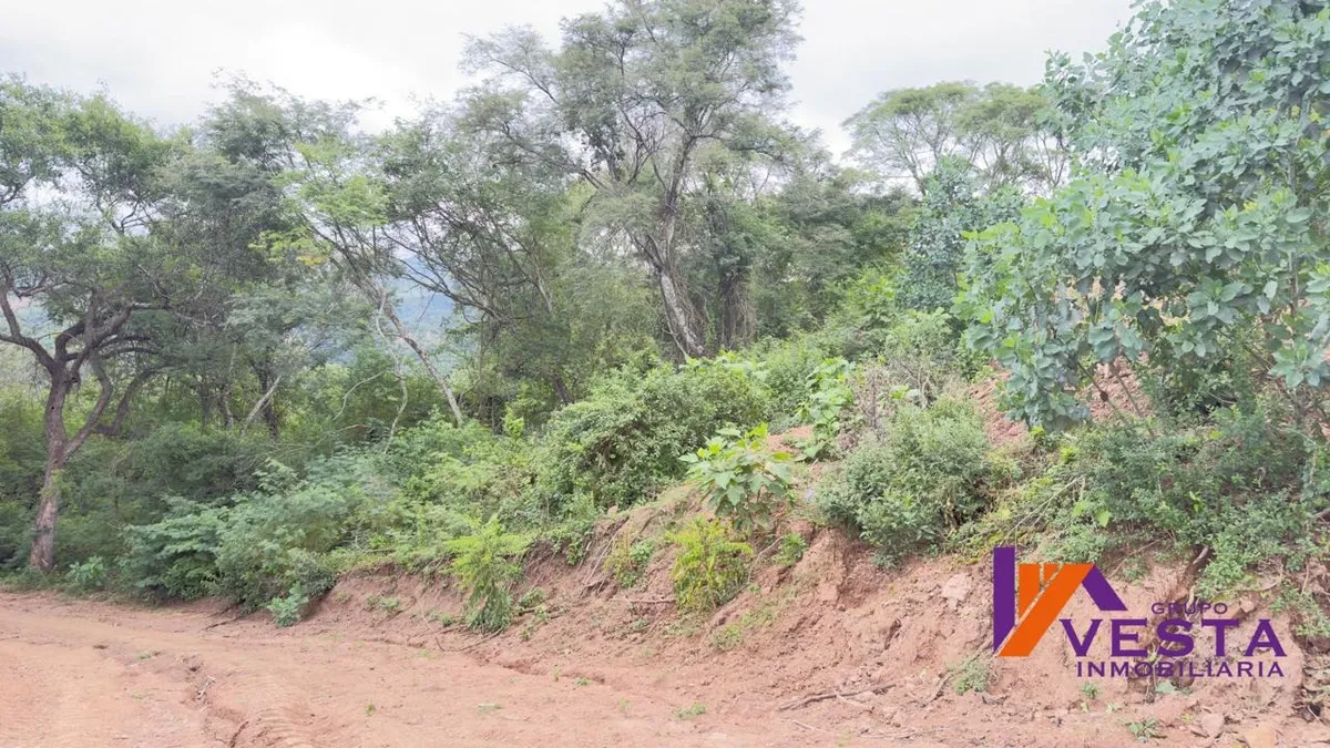 Coronel Moldes-terreno-salta