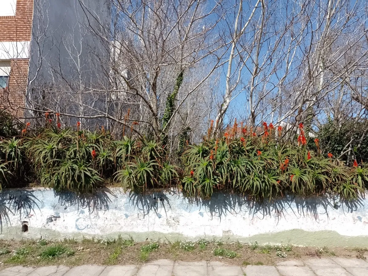 Hermoso lote!10 X 35 Mts - Zona Centro de Las Toninas