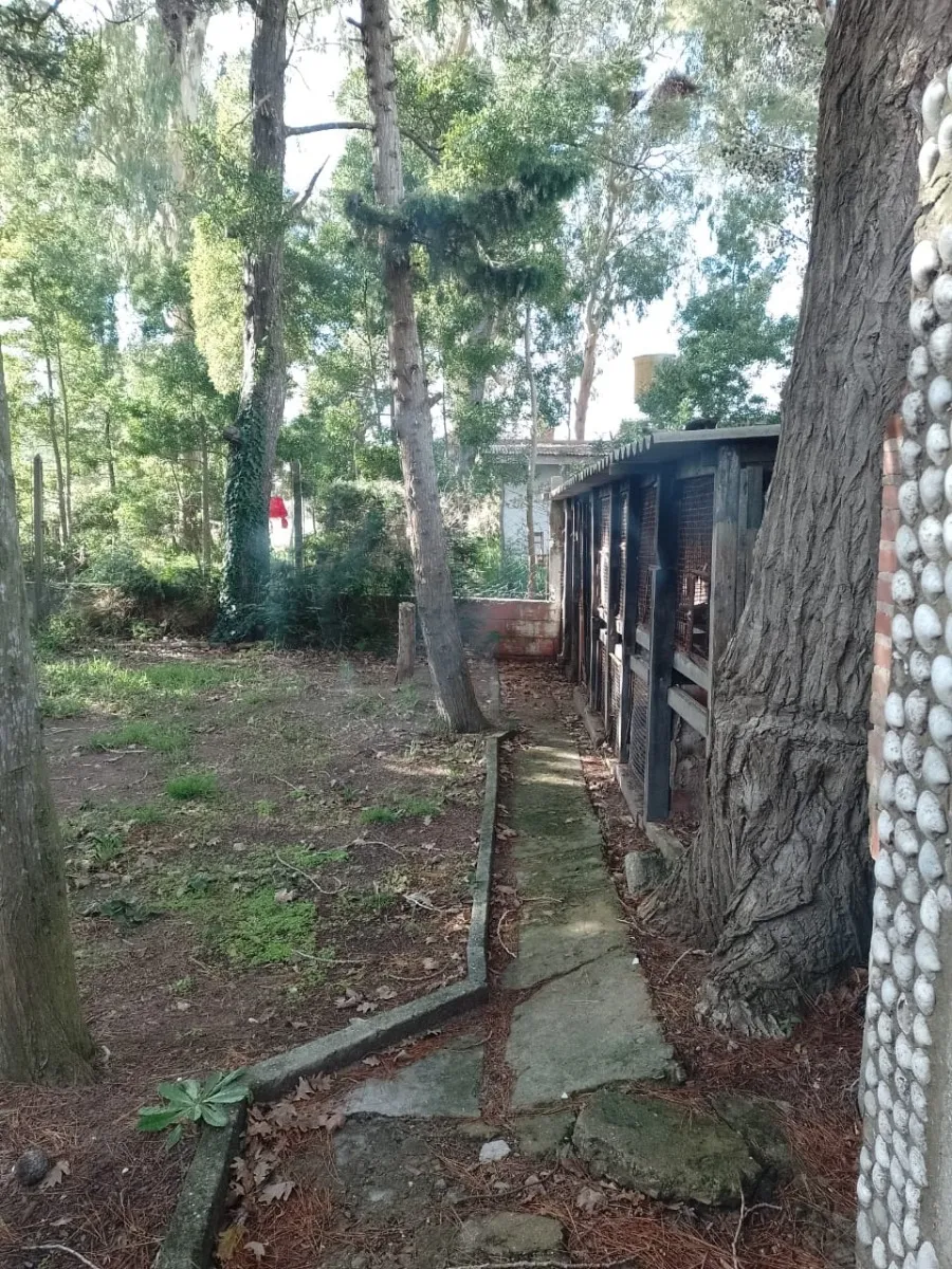 Casa En Block Comunicadas Con Patio Compartido En Las Toninas