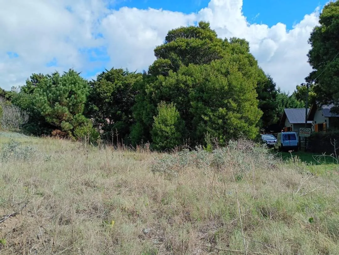LOTE BALDIO SOBRE AVENIDA 7