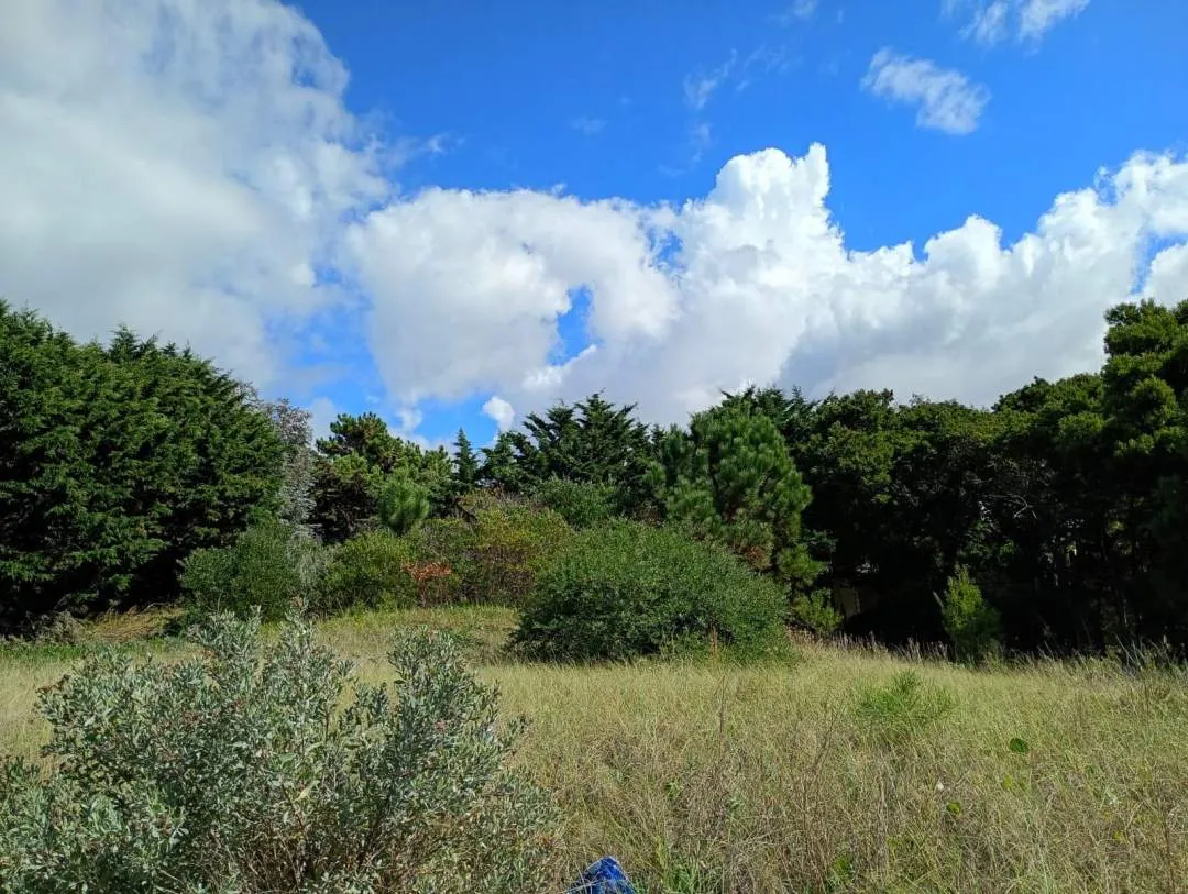 LOTE BALDIO SOBRE AVENIDA 7