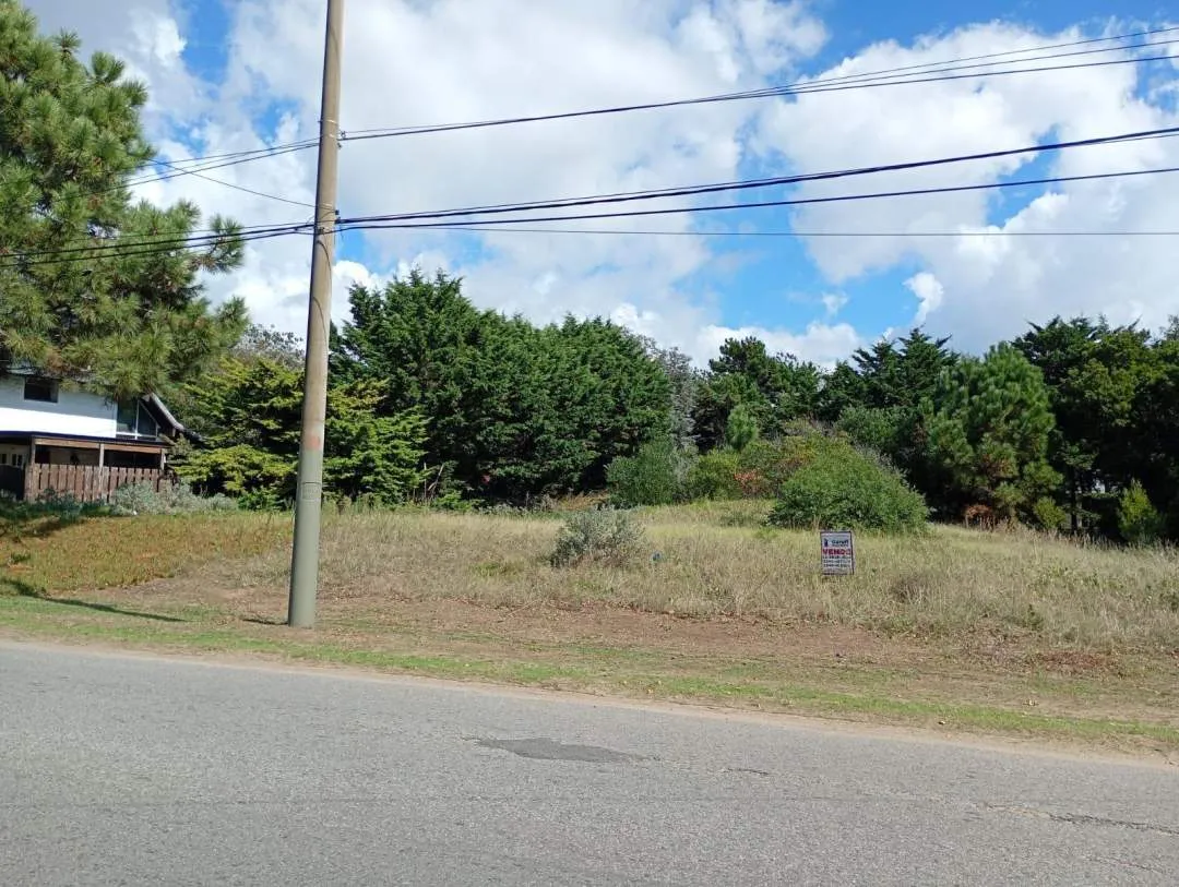 LOTE BALDIO SOBRE AVENIDA 7