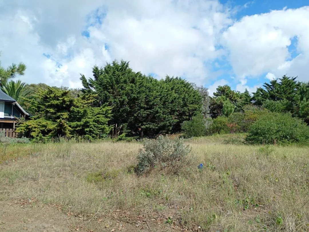 LOTE BALDIO SOBRE AVENIDA 7