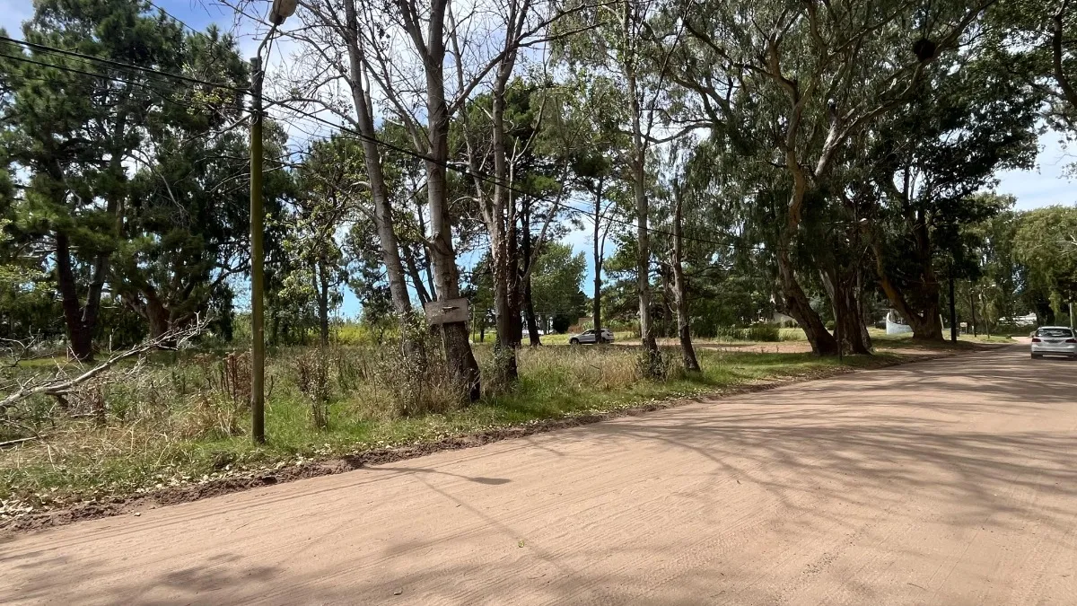 Lote Sobre El Monte De Santa Teresita