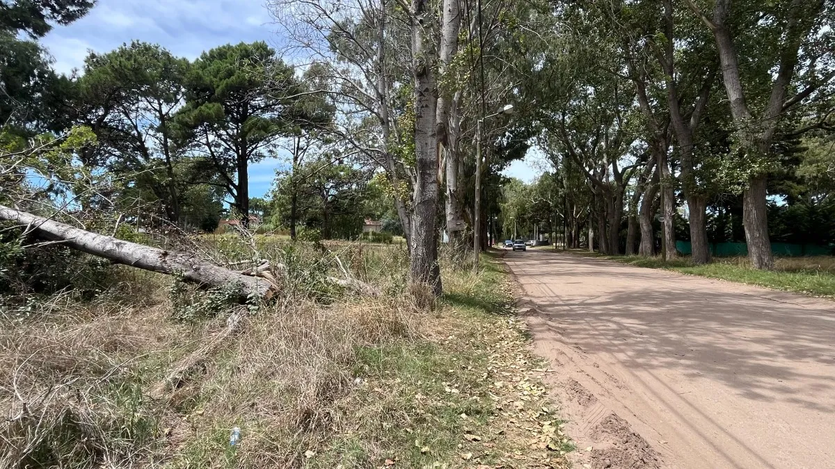 Lote Sobre El Monte De Santa Teresita