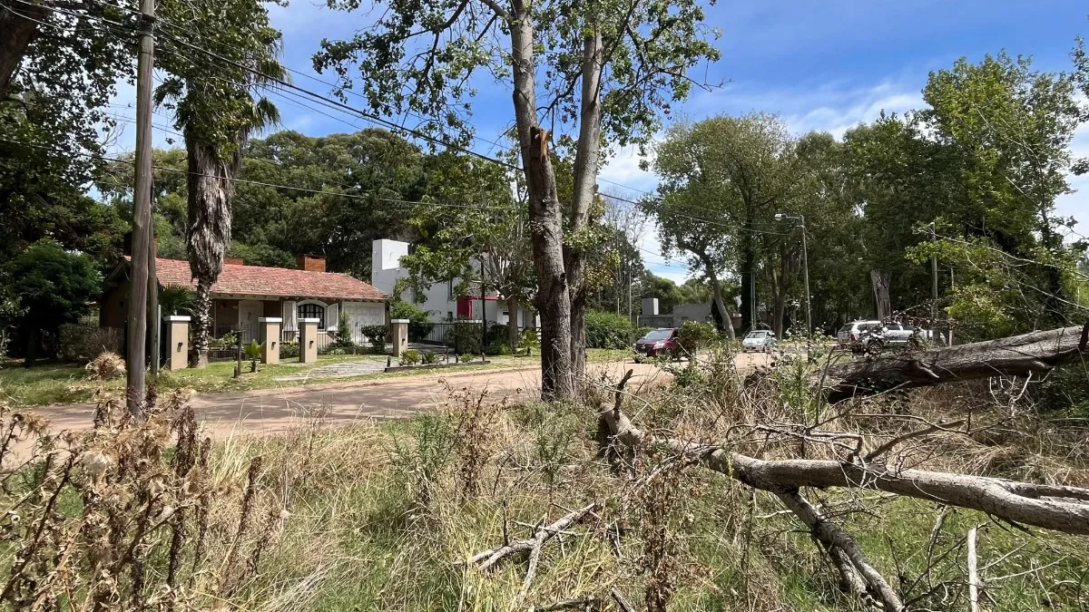 Lote Sobre El Monte De Santa Teresita