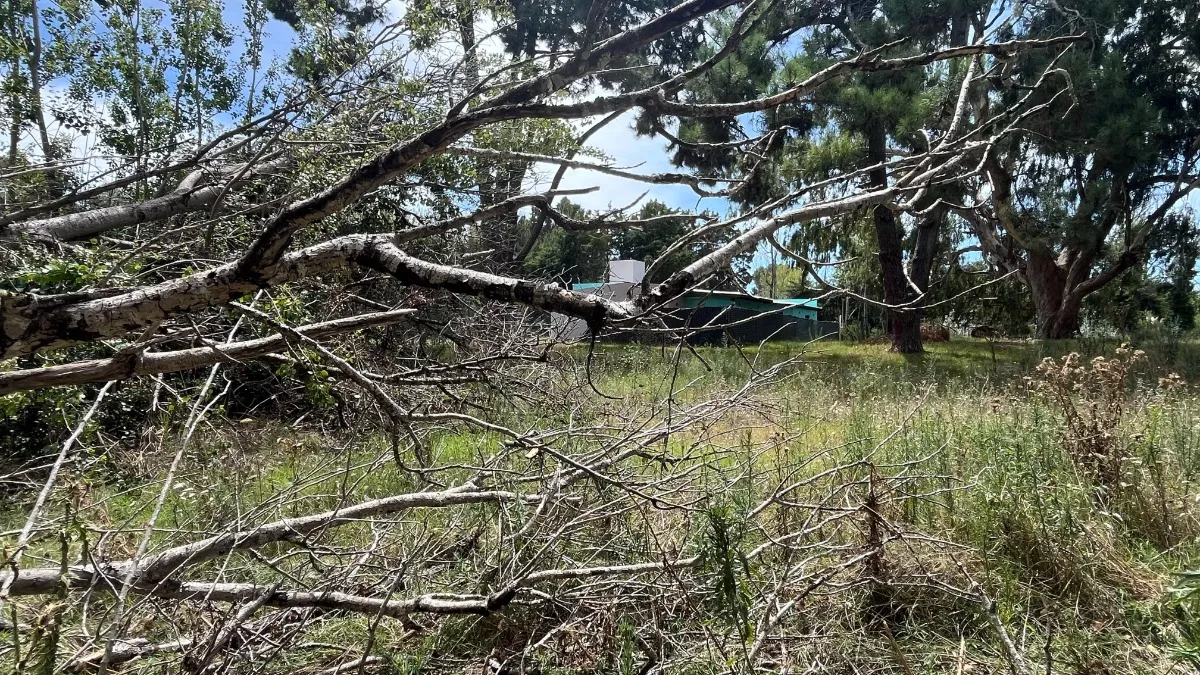 Lote Sobre El Monte De Santa Teresita