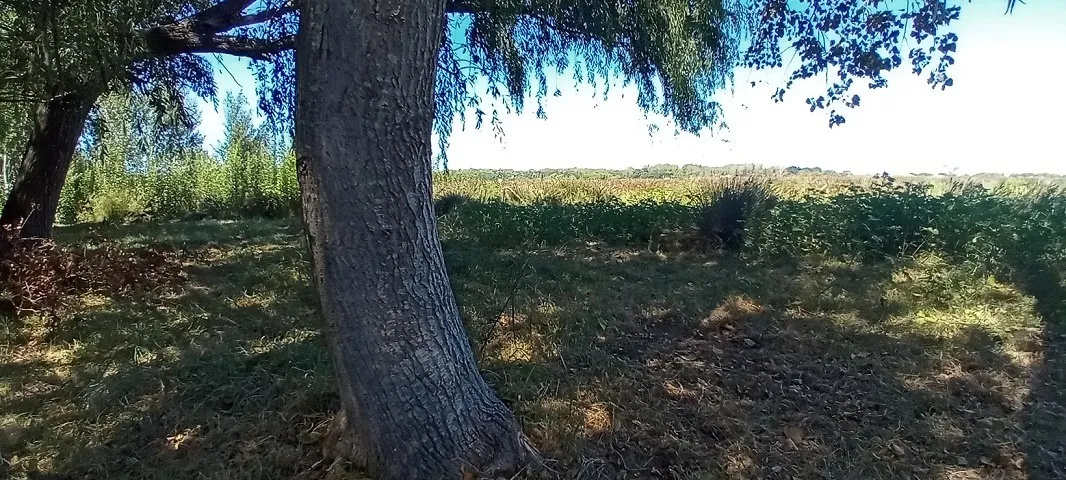 Mar Del Tuyu Se Vende Lote 8.000 Dol.