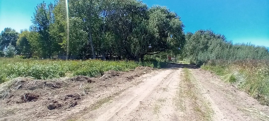 Mar Del Tuyu Se Vende Lote 8.000 Dol.