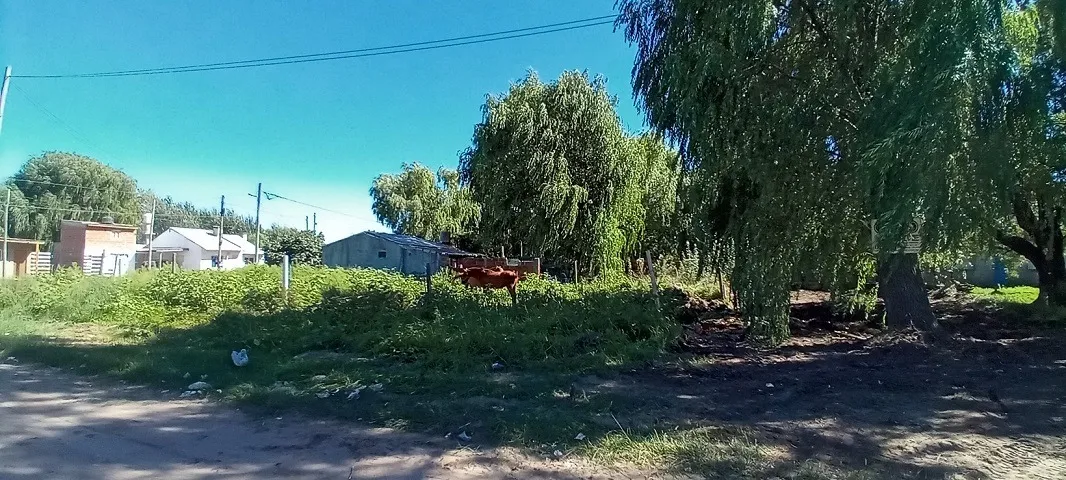 Santa Tersita Para Residentes Estables Lote 10 X 30m
