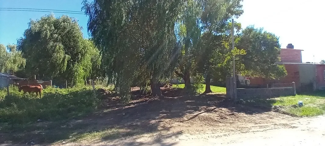 Santa Tersita Para Residentes Estables Lote 10 X 30m