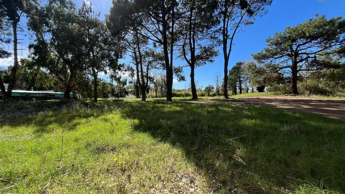 Se Vende Lotes En El Monte Juntos O Separados