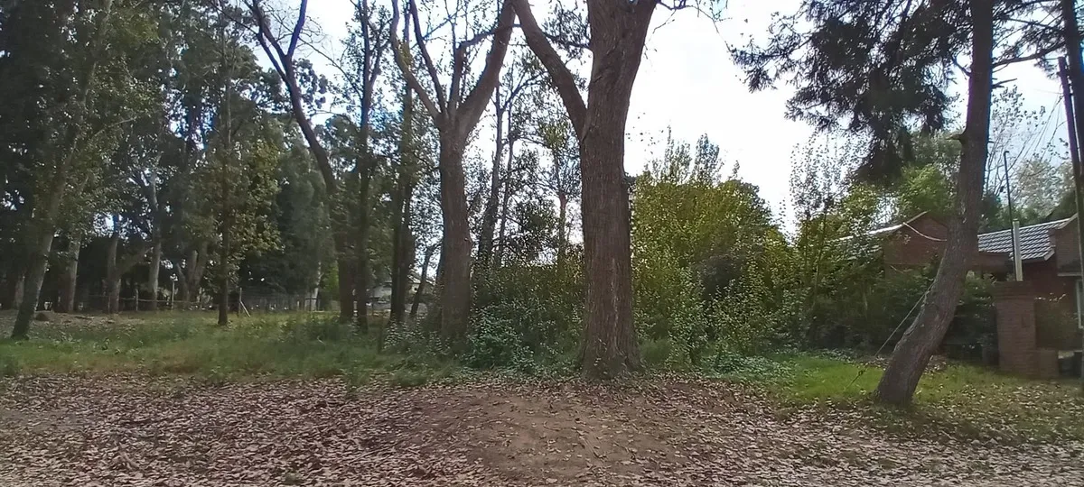 Santa Teresita Hermoso Lote Baldio Cerca Del Golf