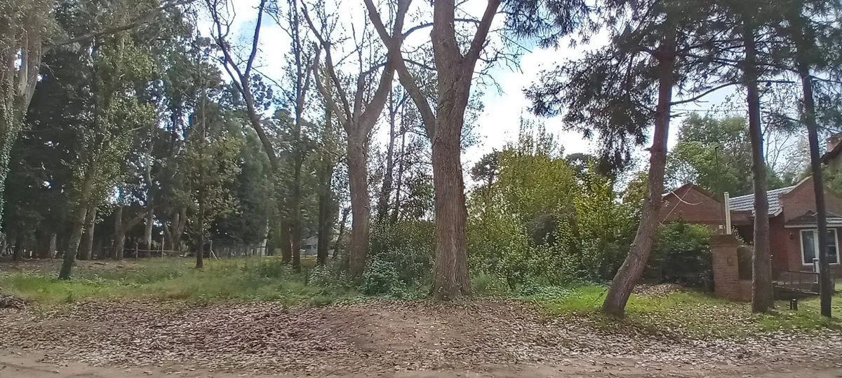 Santa Teresita Hermoso Lote Baldio Cerca Del Golf