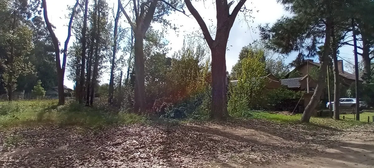 Santa Teresita Hermoso Lote Baldio Cerca Del Golf