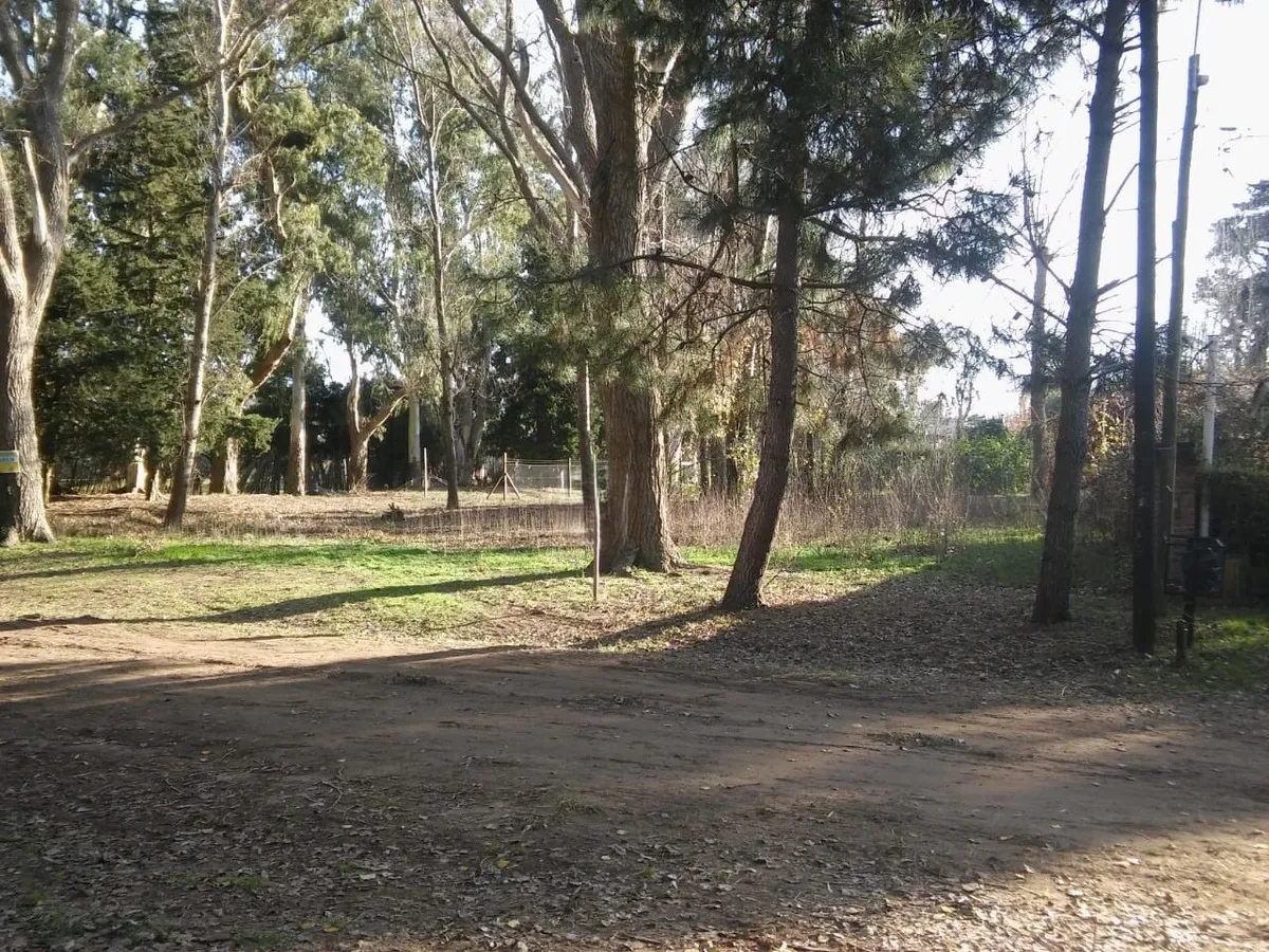 Santa Teresita Hermoso Lote Baldio Cerca Del Golf