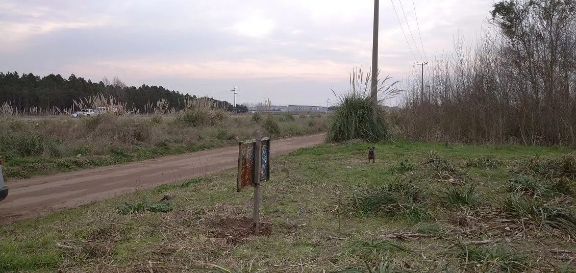Lotes En Block Sobre Colectora De Mar Del Tuyu