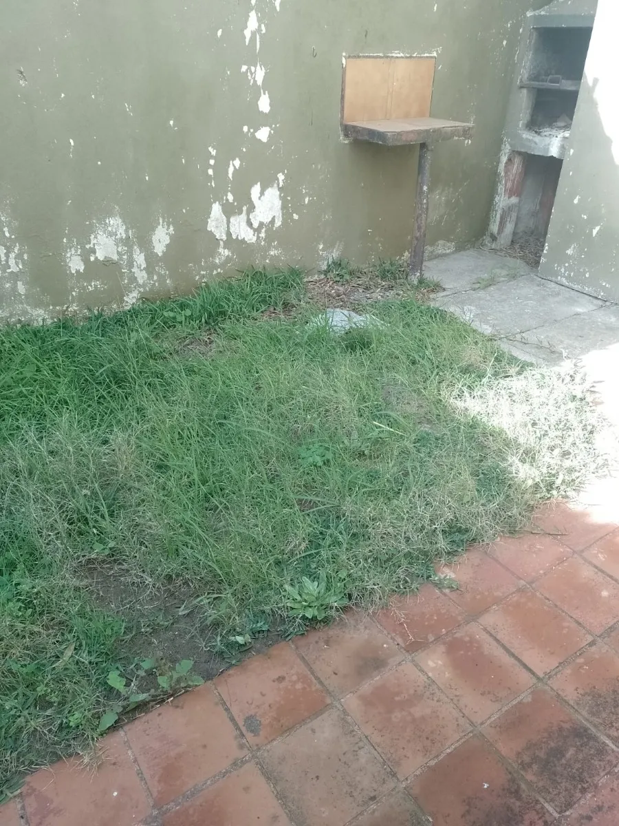 Departamento A Metros Del Mar 2 Ambientes En Las Toninas