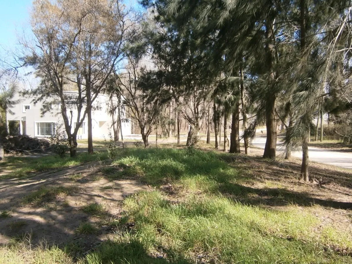 Se Vende Lote 20 De Paseo Del Bosque En Santa Teresita