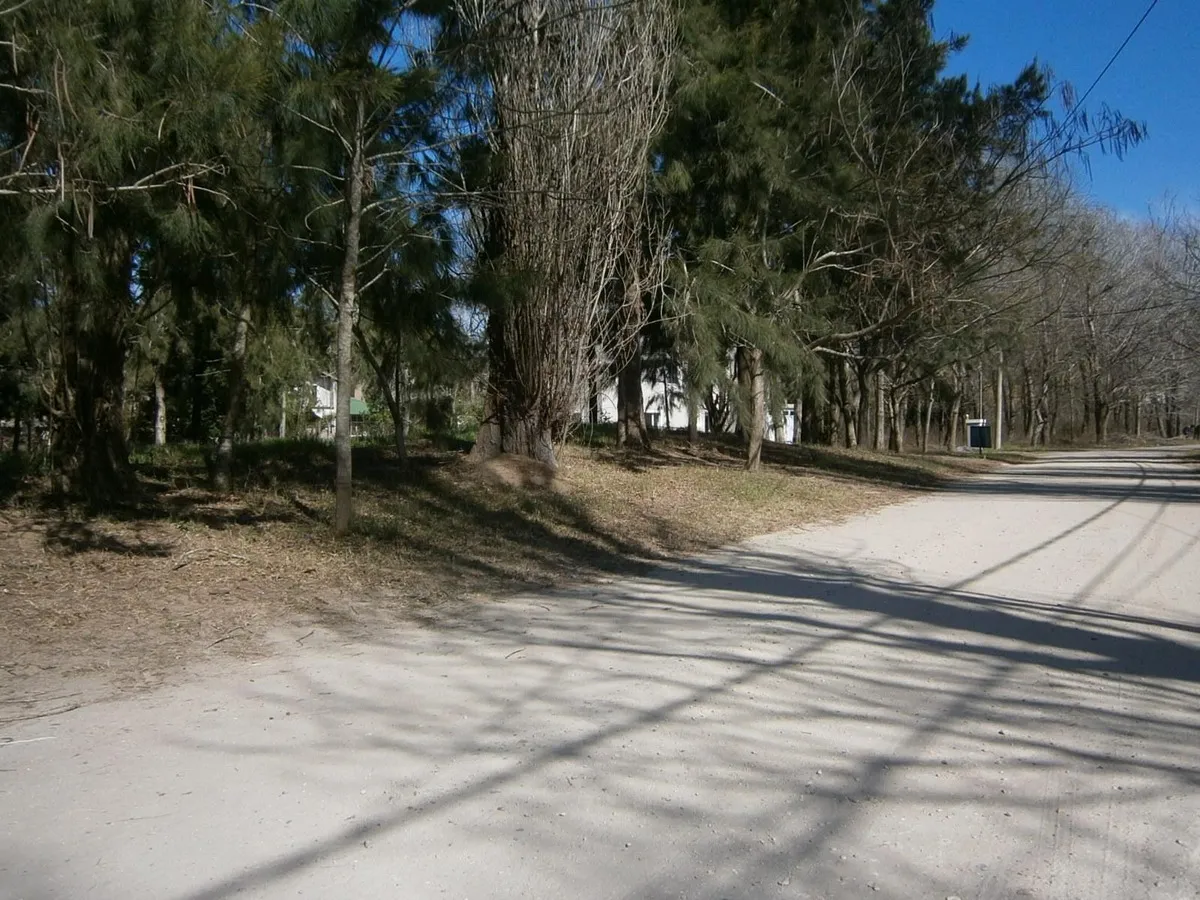 Se Vende Lote 20 De Paseo Del Bosque En Santa Teresita