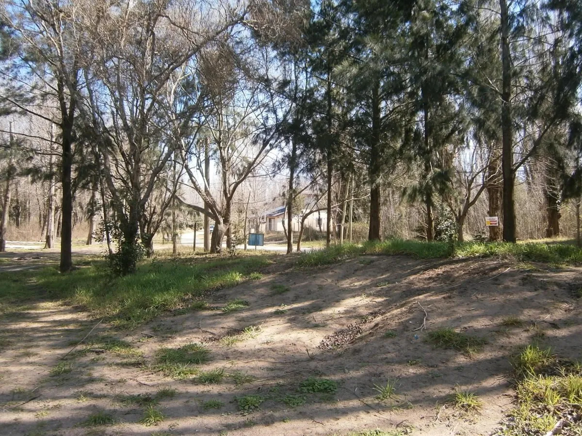 Se Vende Lote 20 De Paseo Del Bosque En Santa Teresita