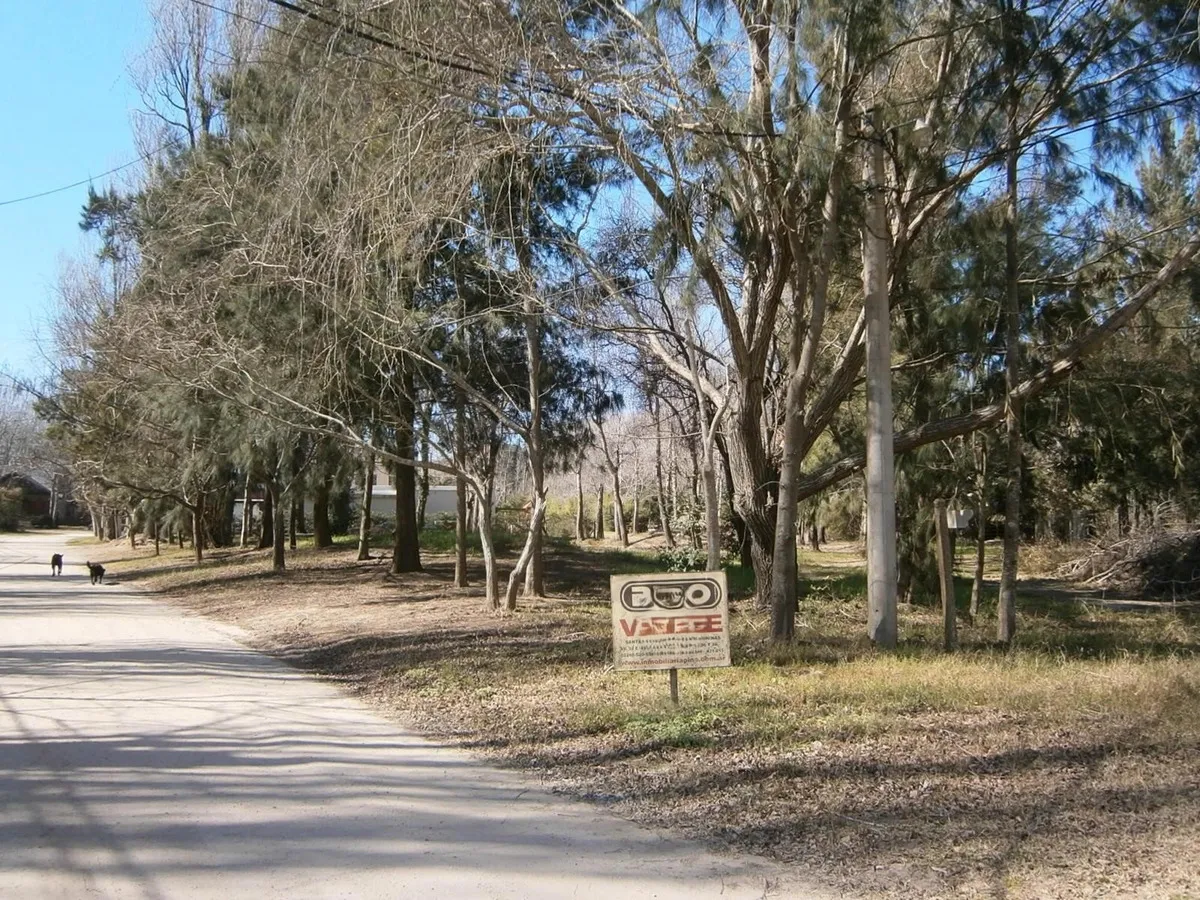 Se Vende Lote 20 De Paseo Del Bosque En Santa Teresita