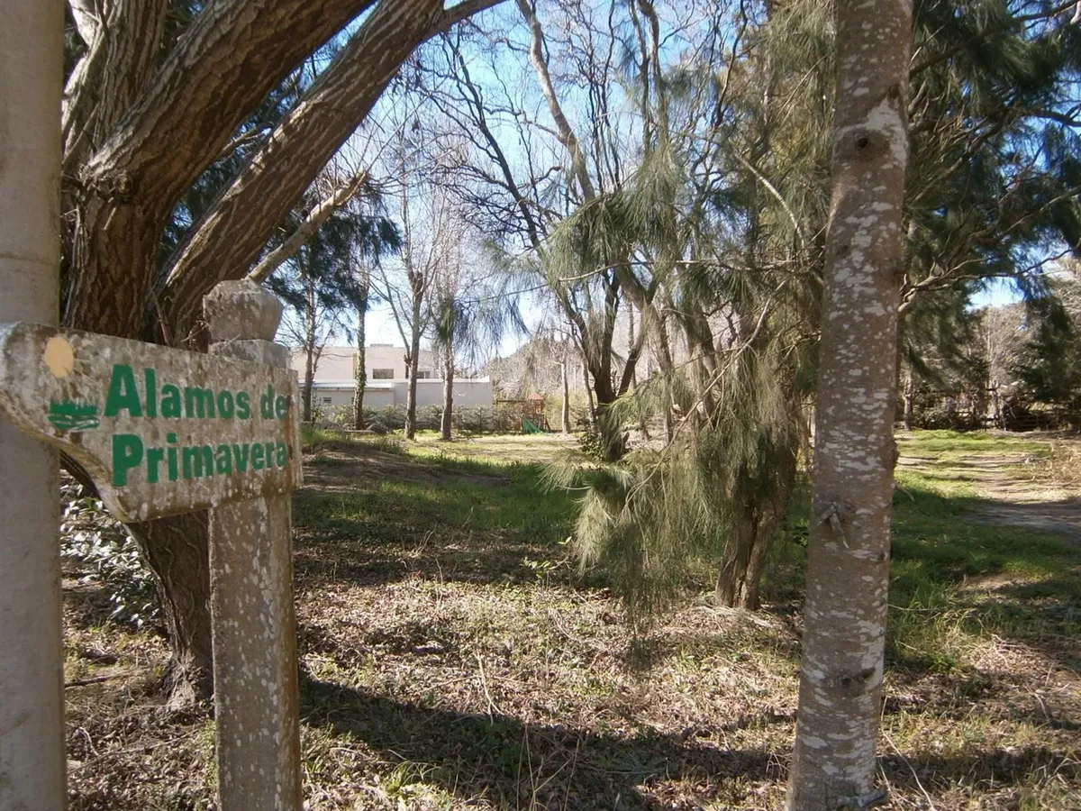 Se Vende Lote 20 De Paseo Del Bosque En Santa Teresita
