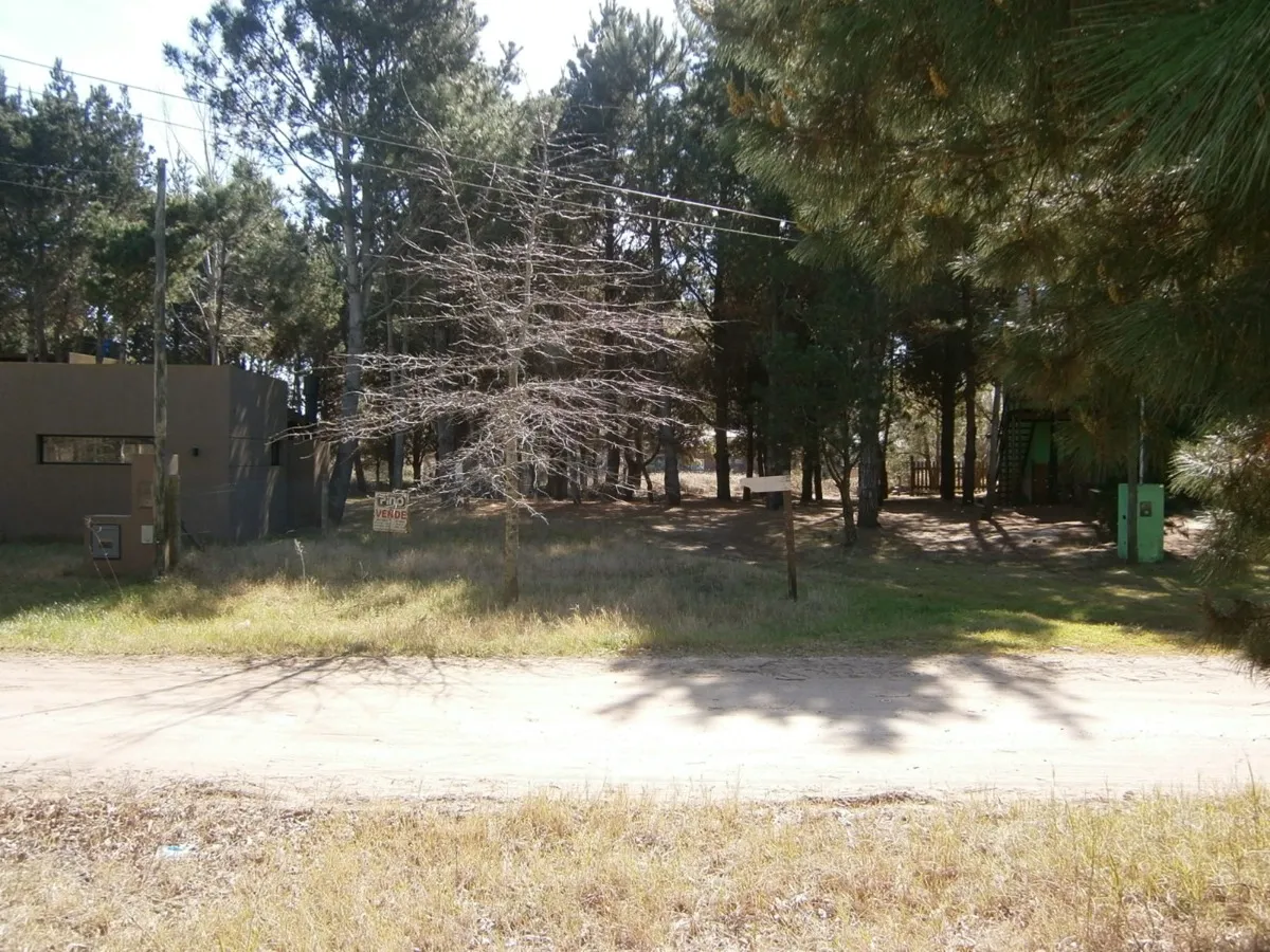 Lote Forestado De 500m2 En Paseo Del Bosque 22a