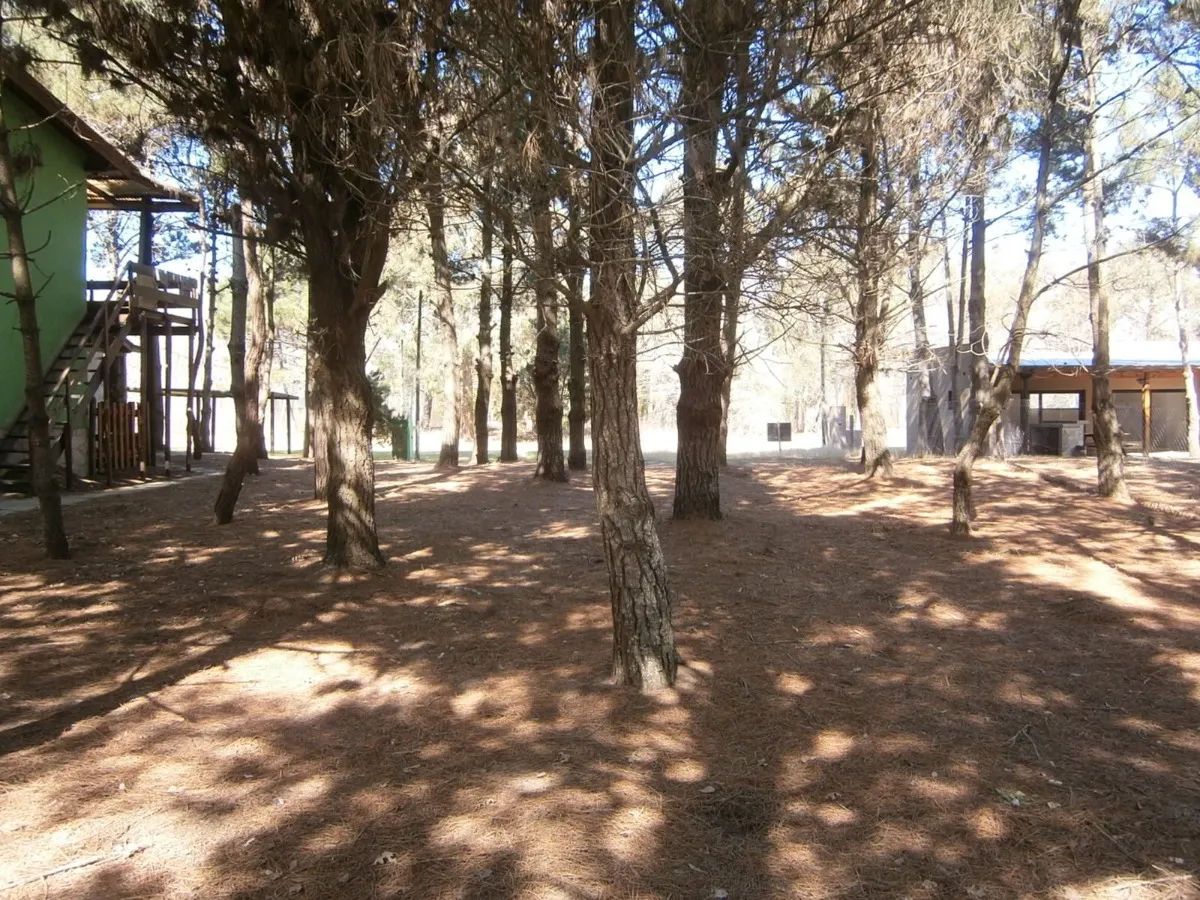 Lote Forestado De 500m2 En Paseo Del Bosque 22a