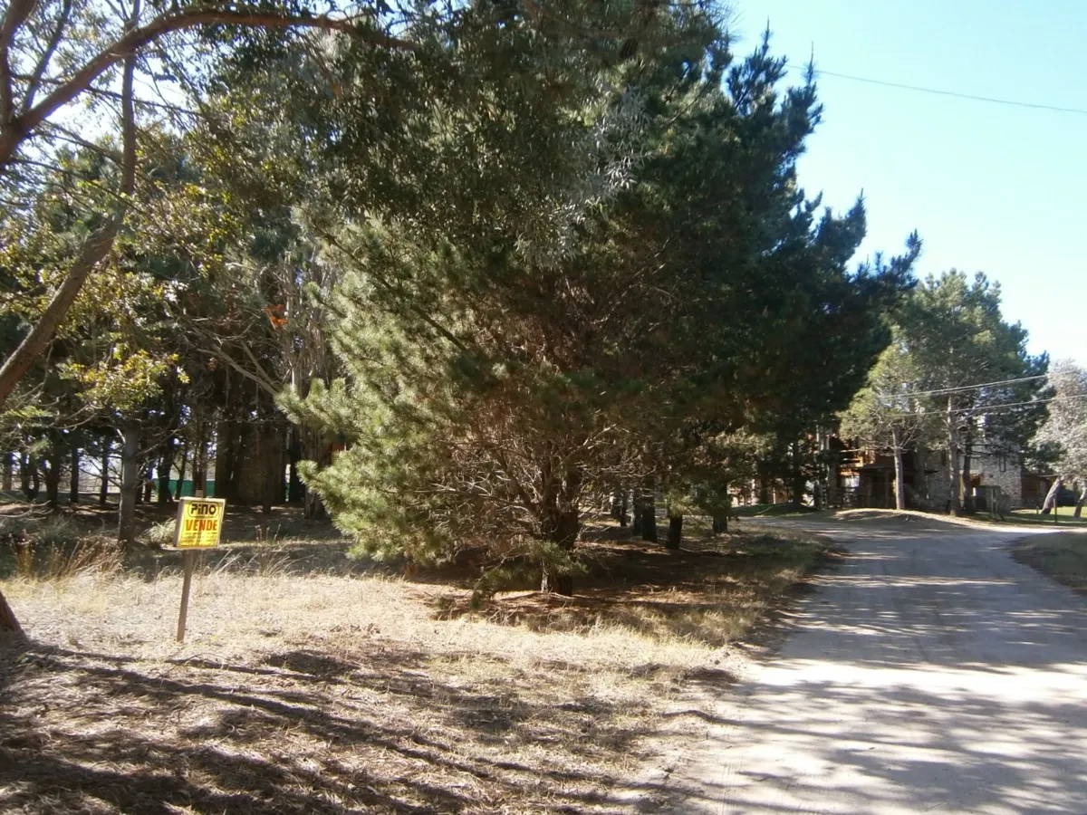 Lote De 500 M2 En Venta.      Paseo Del Bosque Santa Teresita!!