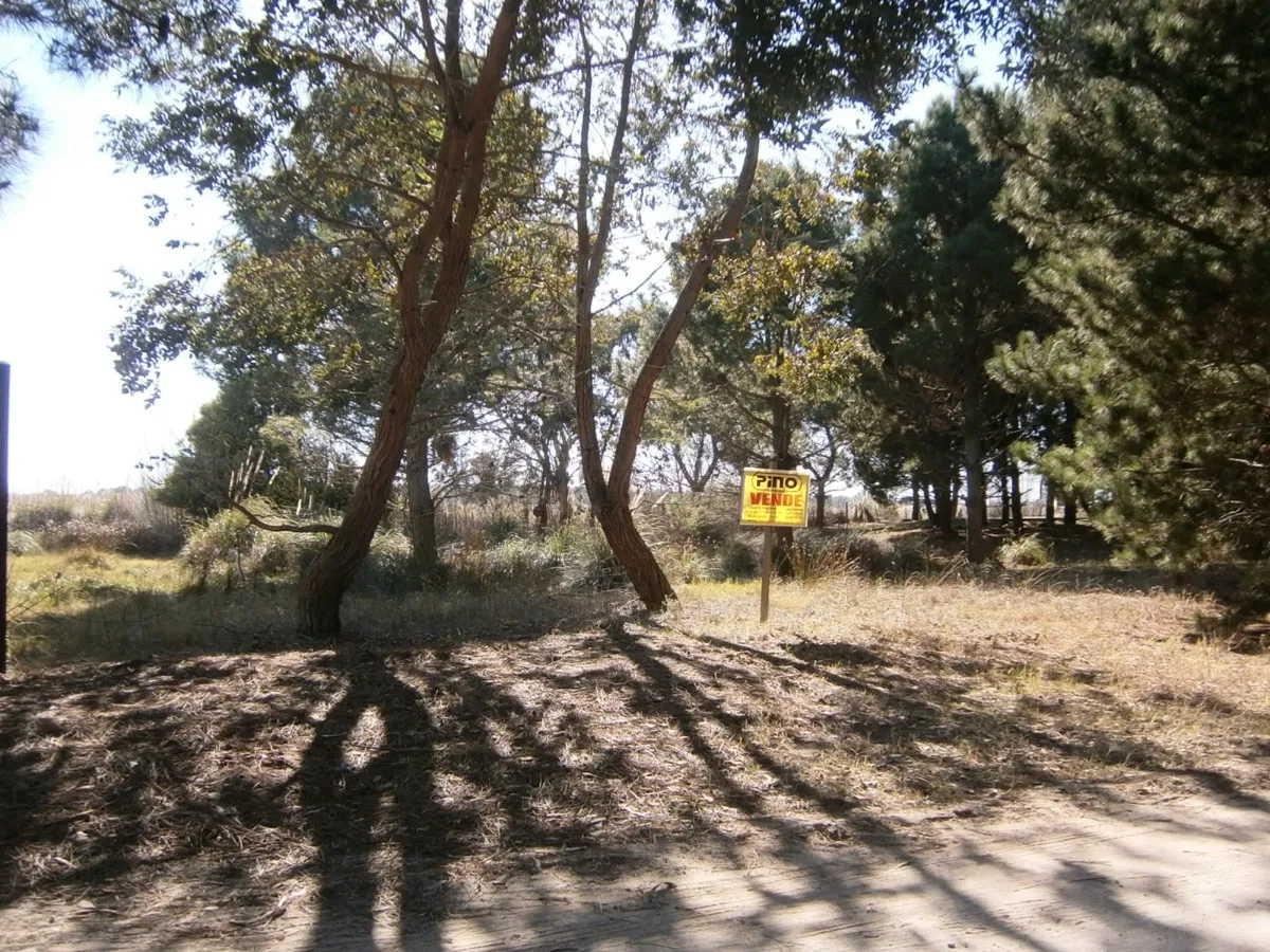 Lote De 500 M2 En Venta.      Paseo Del Bosque Santa Teresita!!