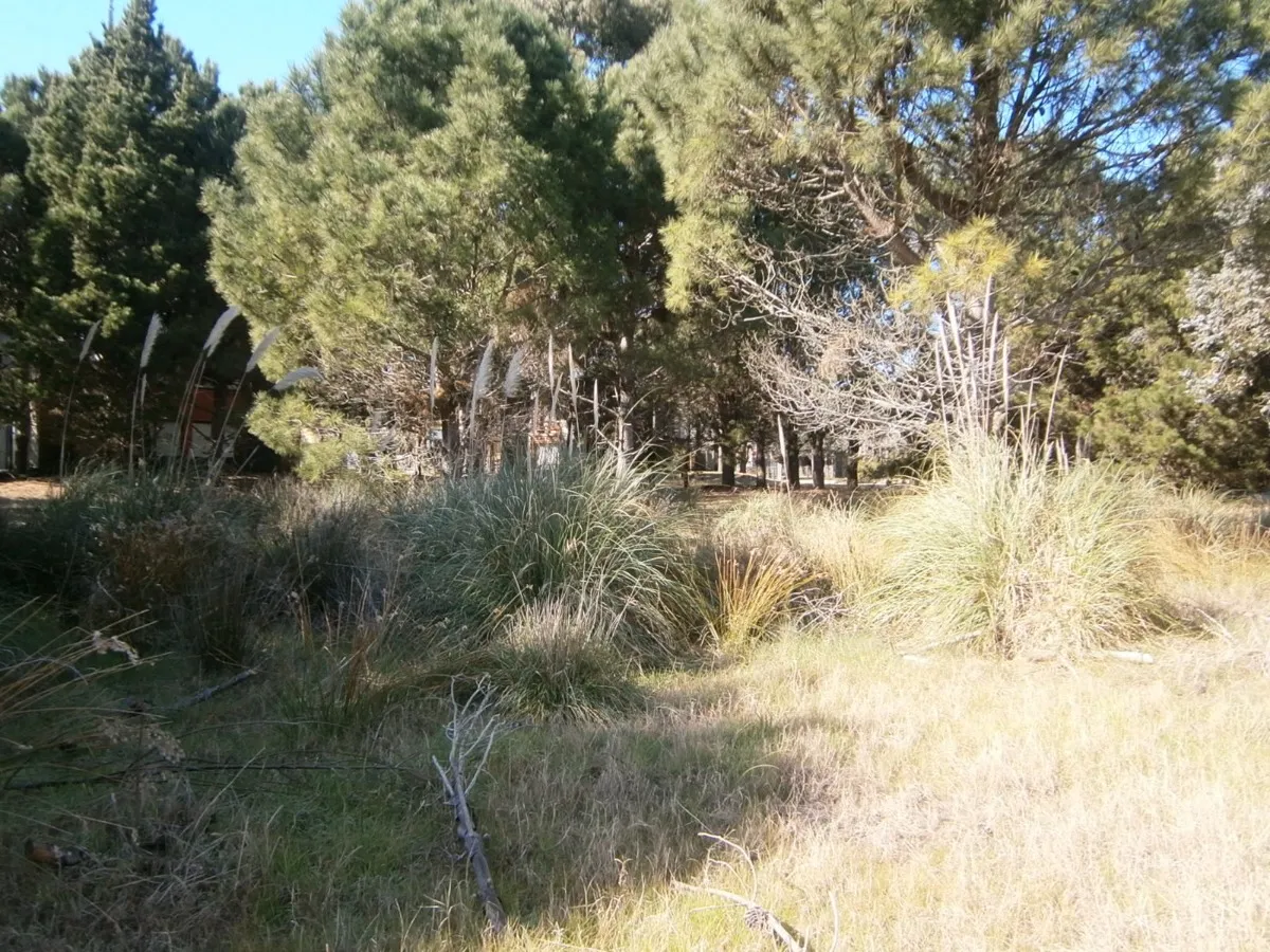 Lote De 500 M2 En Venta.      Paseo Del Bosque Santa Teresita!!