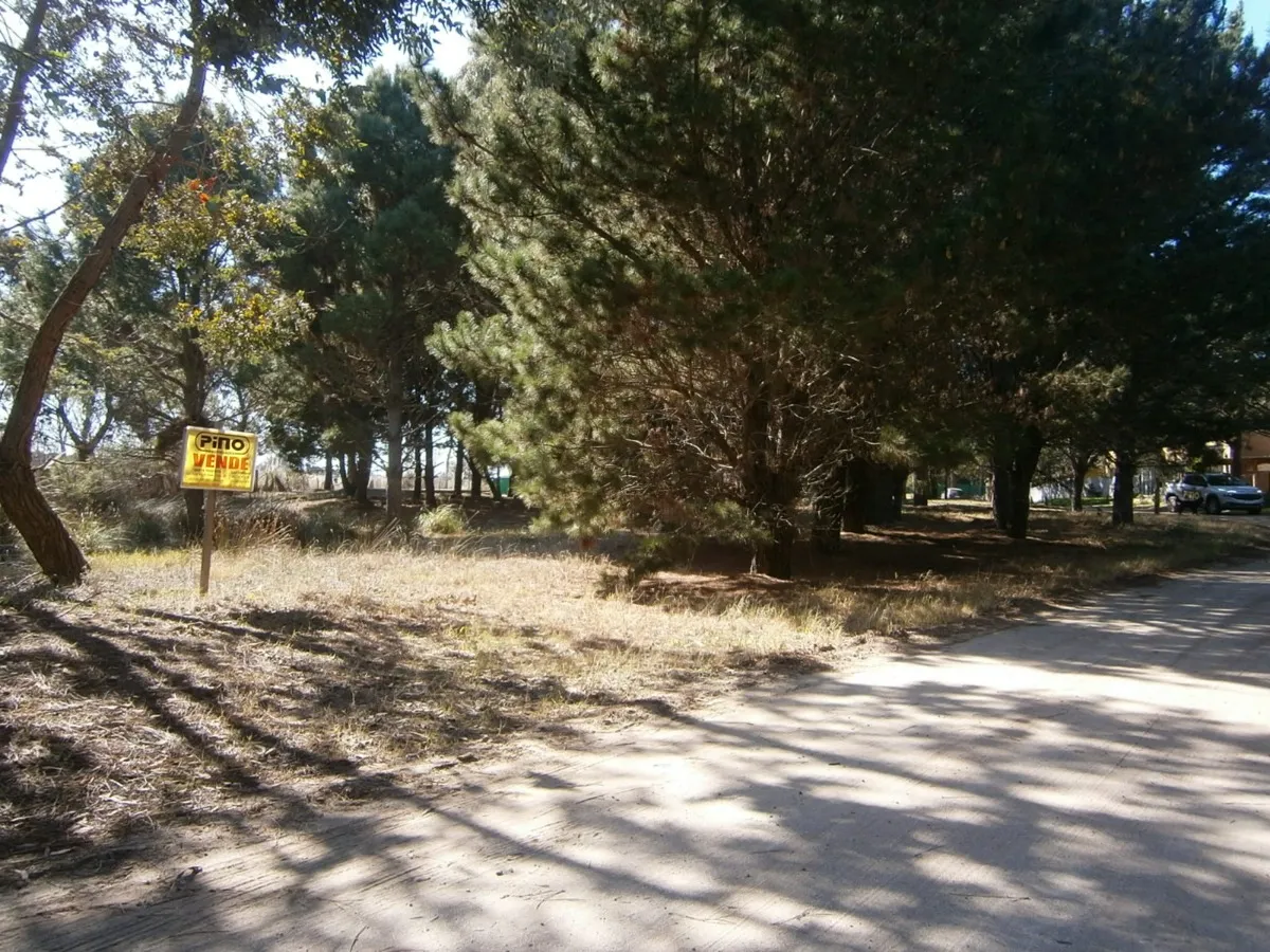 Lote De 500 M2 En Venta.      Paseo Del Bosque Santa Teresita!!