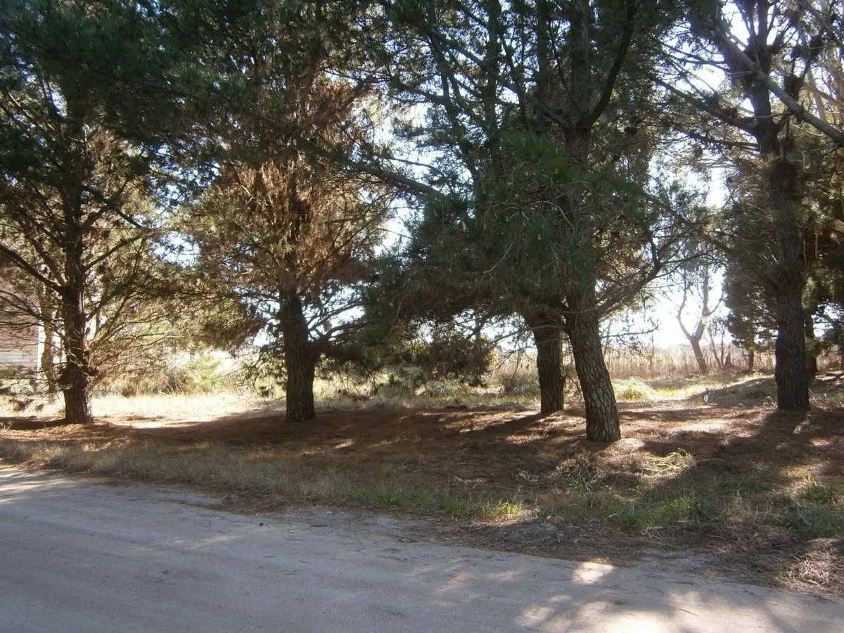Lote De 500 M2 En Venta.      Paseo Del Bosque Santa Teresita!!