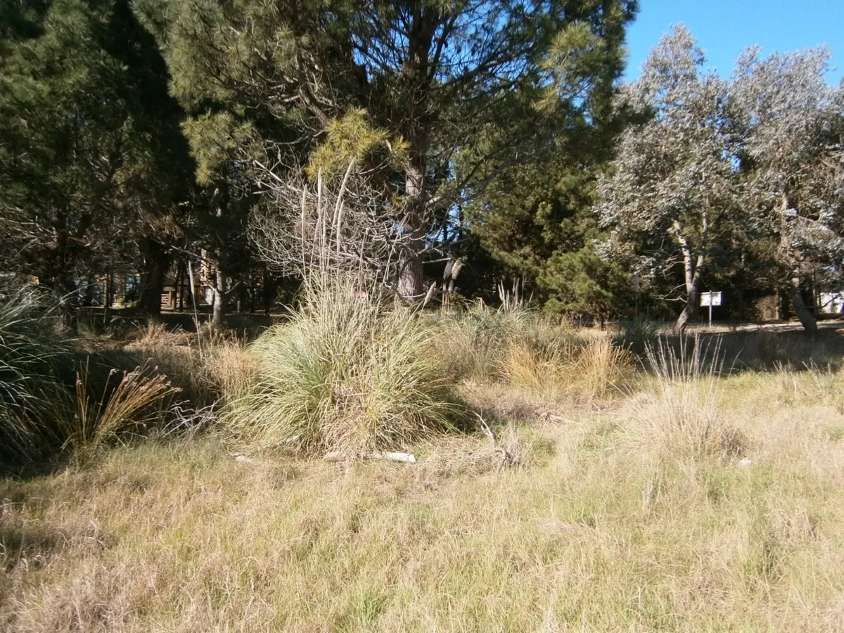 Lote De 500 M2 En Venta.      Paseo Del Bosque Santa Teresita!!