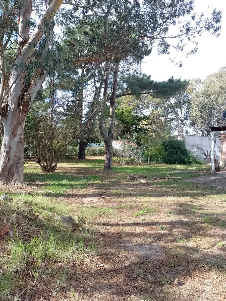 Casa 3 Ambient Gran Lote En Zona Residencial De Las Toninas
