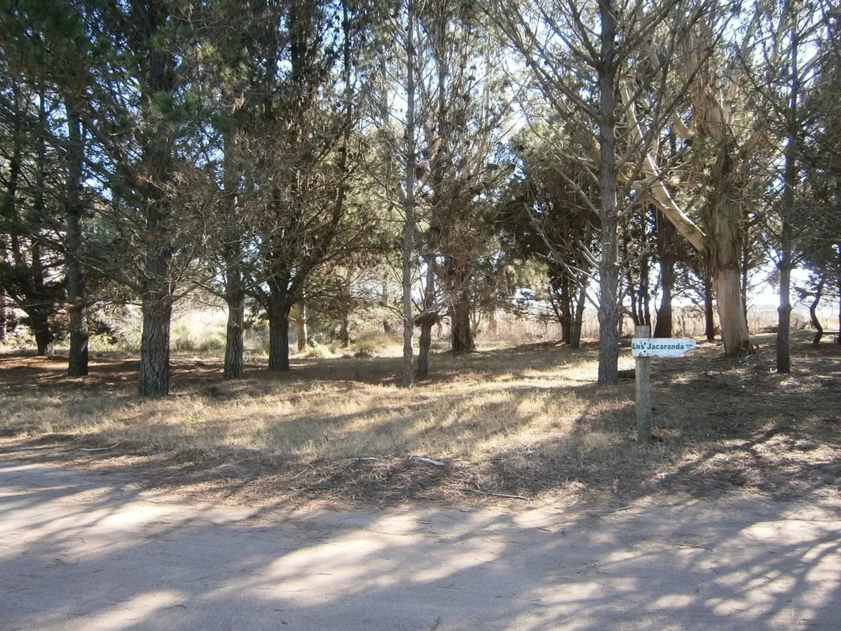 Hermoso Lote De 600 M2 En Paseo Del Bosque Santa Teresita