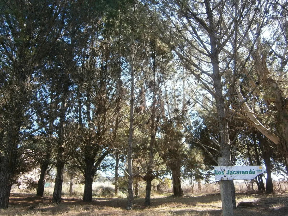 Hermoso Lote De 600 M2 En Paseo Del Bosque Santa Teresita