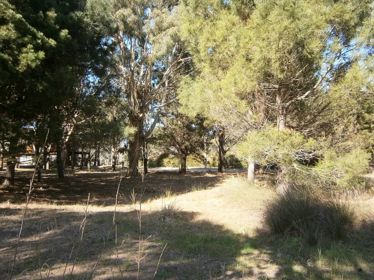 Hermoso Lote De 600 M2 En Paseo Del Bosque Santa Teresita