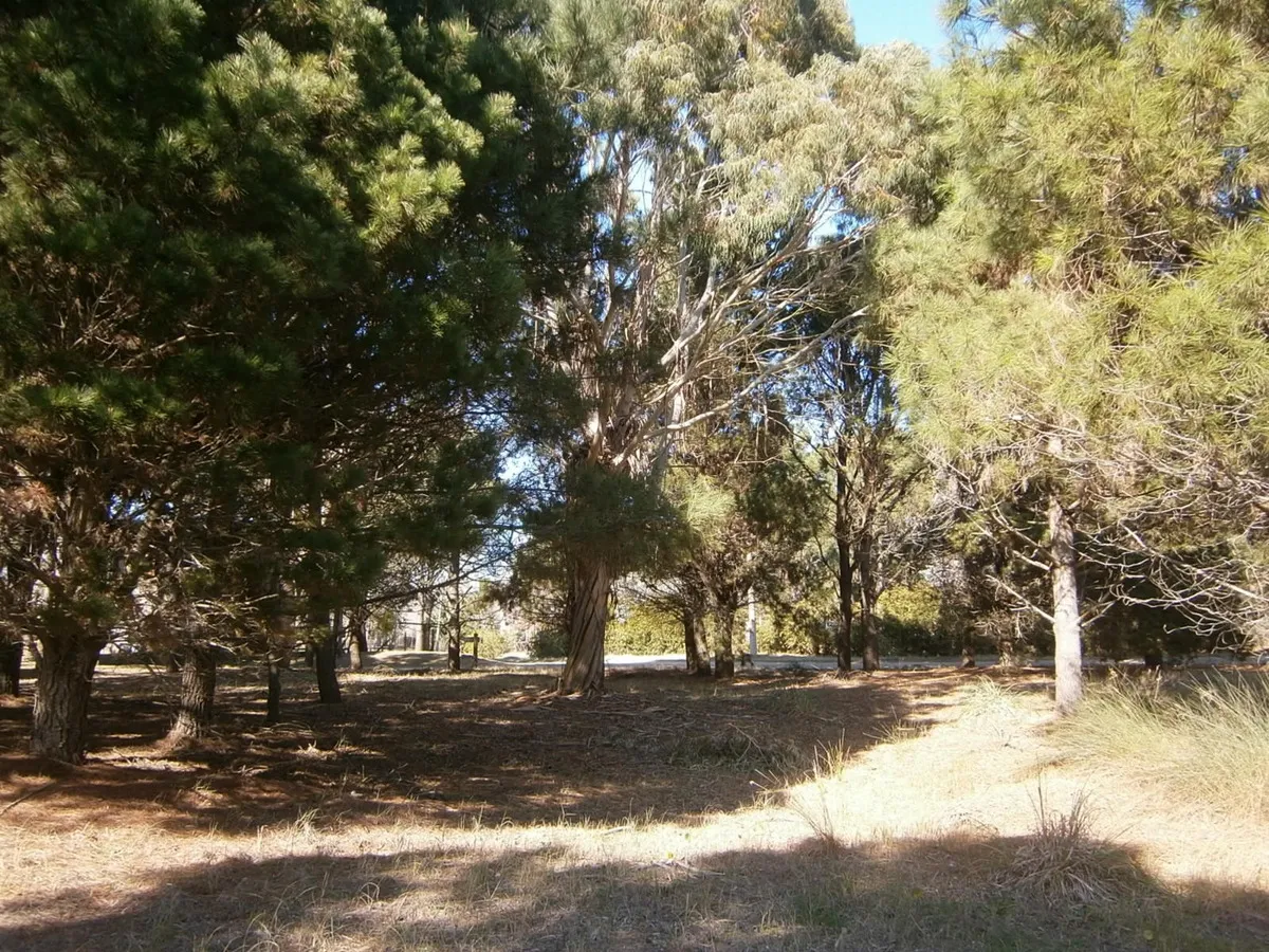 Hermoso Lote De 600 M2 En Paseo Del Bosque Santa Teresita