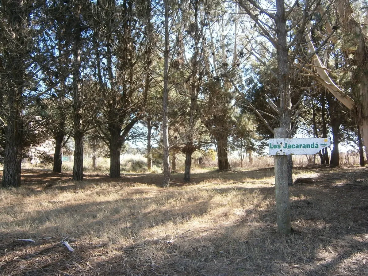 Hermoso Lote De 600 M2 En Paseo Del Bosque Santa Teresita