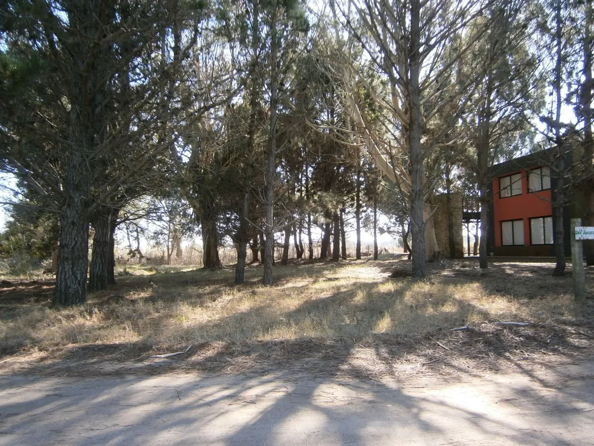 Hermoso Lote De 600 M2 En Paseo Del Bosque Santa Teresita