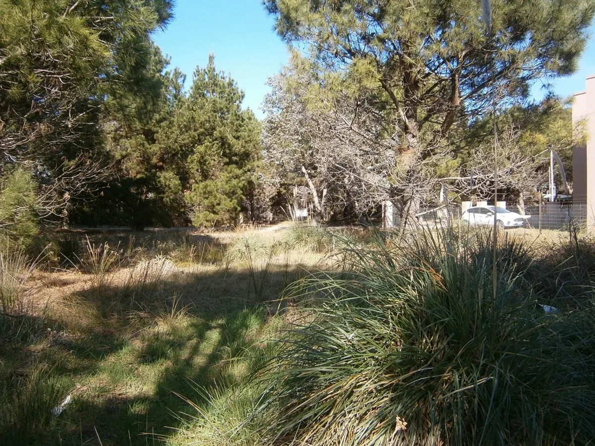 Hermoso Lote De 600 M2 En Paseo Del Bosque Santa Teresita