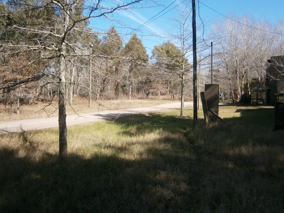 Se Vende Lote Forestado En Paseo Del Bosque!! 21b