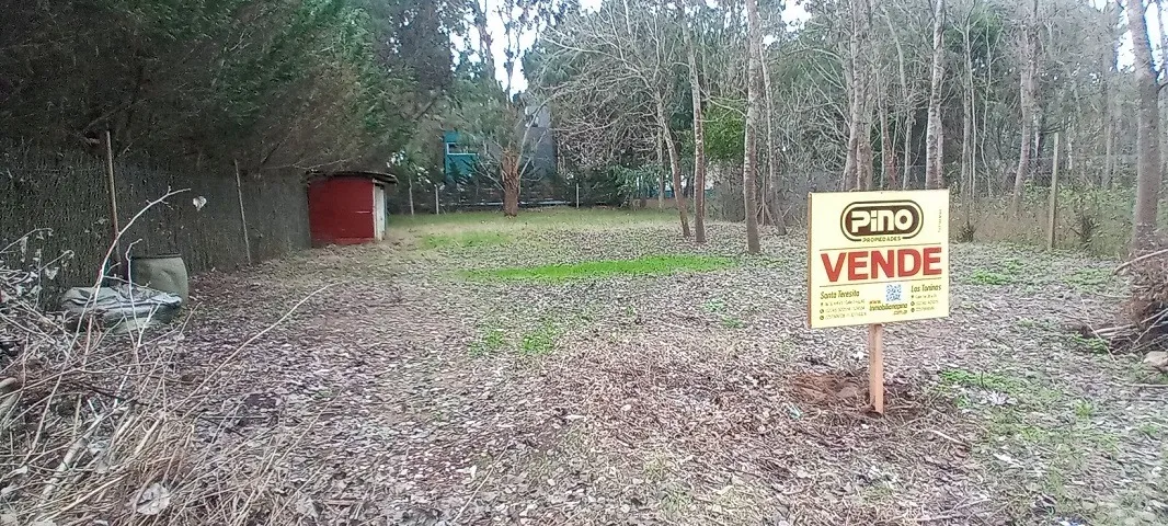 Santa Teresita. Venta. Lote Con Mejoras. Paseo Del Bosque.