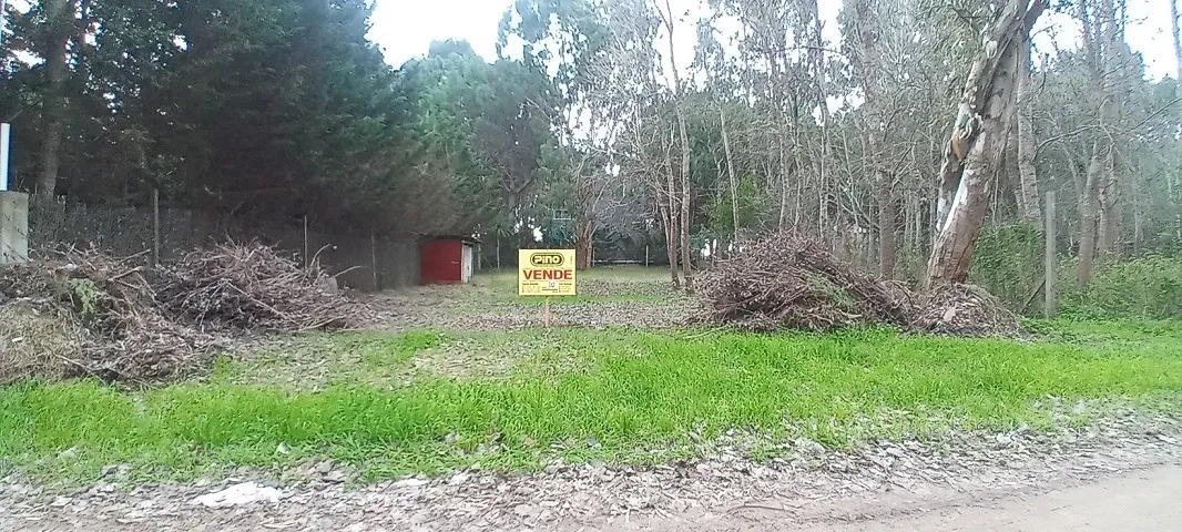 Santa Teresita. Venta. Lote Con Mejoras. Paseo Del Bosque.