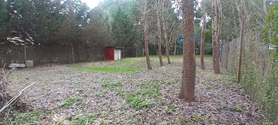 Santa Teresita. Venta. Lote Con Mejoras. Paseo Del Bosque.