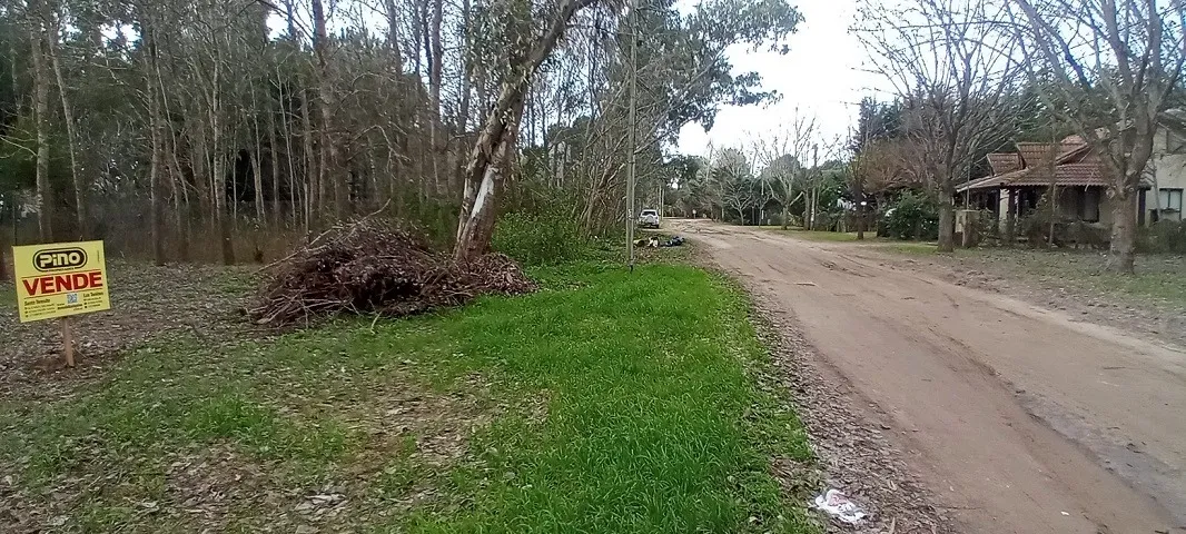 Santa Teresita. Venta. Lote Con Mejoras. Paseo Del Bosque.