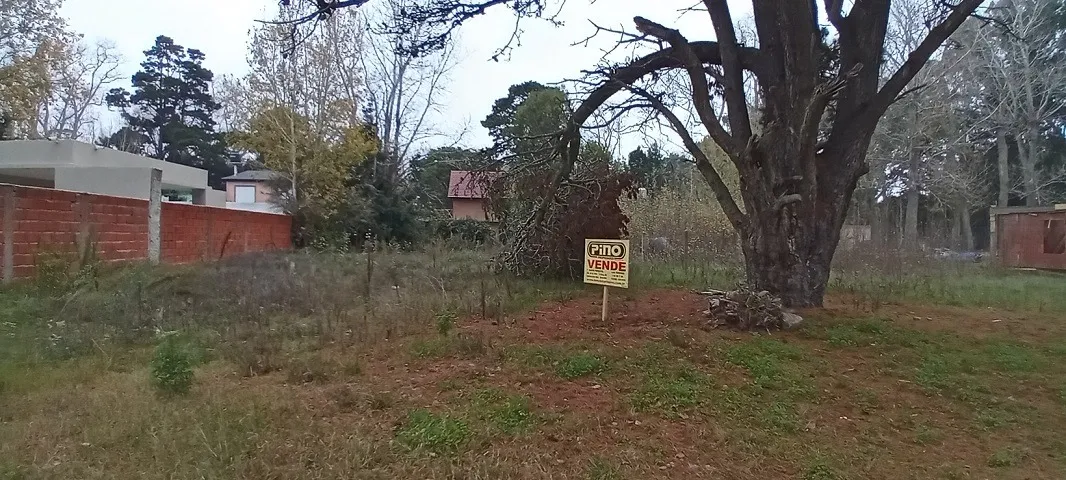 Hermoso Lote A Mts Del Club De Golf.